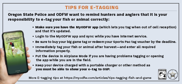 Tips for E-Tagging