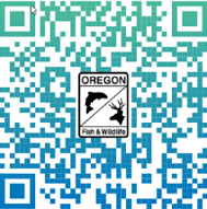 QR code with the Oregon Department of Fish and Wildlife logo, linking to ODFW game bird hunting information.