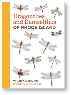 Book cover or Dragonflies and Damselflies of Rhode Island.
