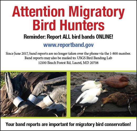 Attention Migratory Bird Hunters graphic