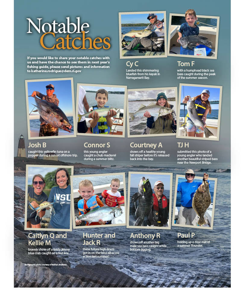 Notable Catches Rhode Island Saltwater Fishing eRegulations
