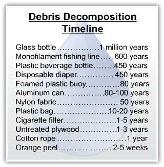 Chart showing debris decomposition timeline.