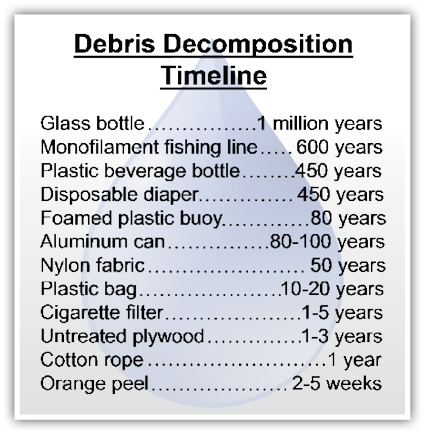 Chart showing debris decomposition timeline.
