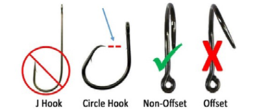 Comparison of fishing hooks showing a J hook, circle hook, non-offset hook with a green check, and offset hook with a red X.
