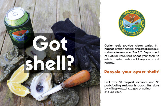 Recycle oyster shells PSA