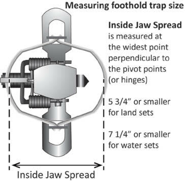 Illustration showing how to measure a foothold trap size.