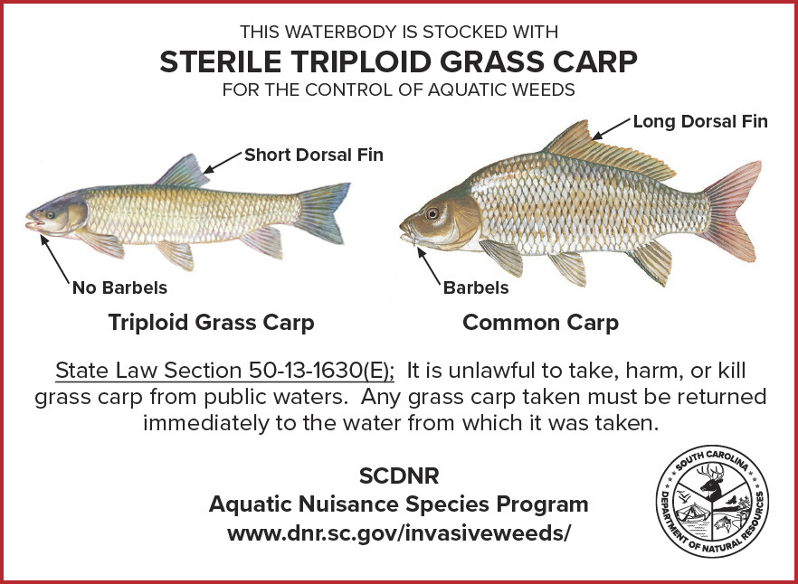 Image of a sign showing that this waterbody is stocked with Steril Tripoid Grass Carp for the control of aquatic weeds.