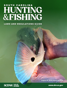 Cover of the 2025–2026 South Carolina Hunting & Fishing Laws and Regulations Guide featuring a close-up of a fish tail with a distinctive black spot being gently released into the water.