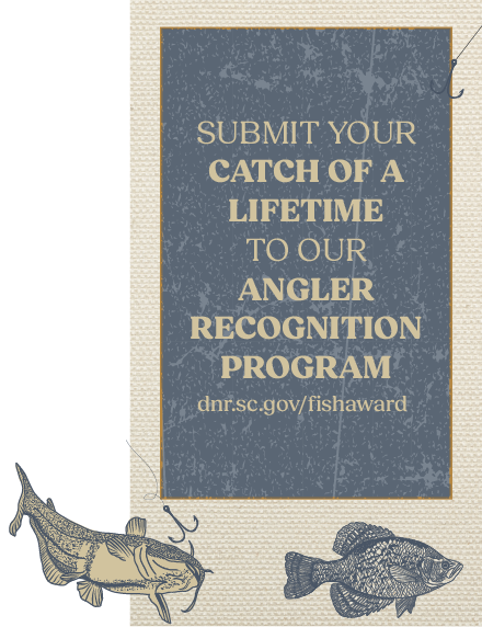 Promotional graphic for the South Carolina Department of Natural Resources Angler Recognition Program featuring drawings of fish and text inviting anglers to submit their “catch of a lifetime” at dnr.sc.gov/fishaward.