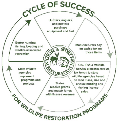 Green circular infographic titled “Cycle of Success for Wildlife Restoration Programs,” showing how hunting and fishing purchases fund conservation efforts through excise taxes, grants, and state wildlife projects.