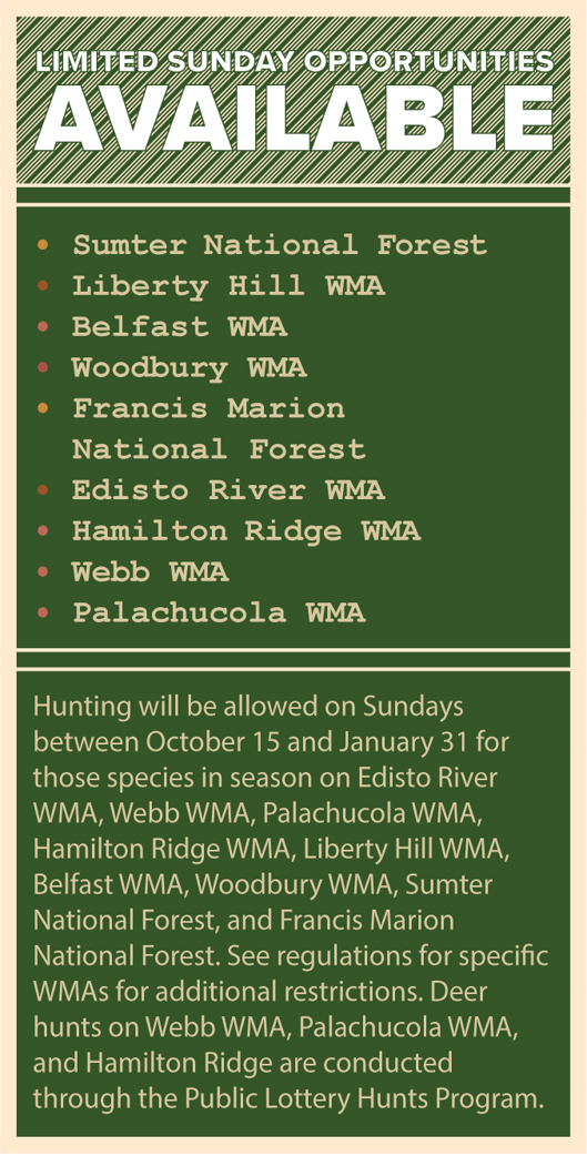 Sunday Hunting Opportunities in South Carolina