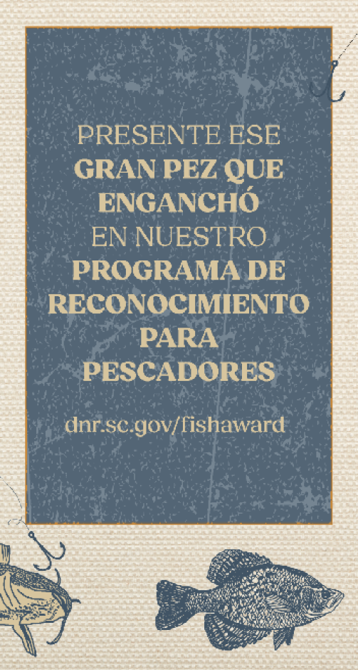 Afiche promocional del Programa de Reconocimiento para Pescadores del Departamento de Recursos Naturales de Carolina del Sur. El cartel invita a los pescadores a registrar el gran pez que capturaron en el sitio web dnr.sc.gov/fishaward.
