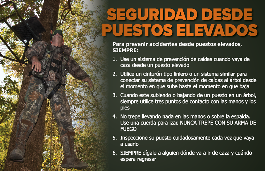 Un cazador con ropa de camuflaje utiliza un arnés de seguridad mientras sube a un puesto elevado en un árbol. A la derecha, el texto titulado “Seguridad desde Puestos Elevados” ofrece seis recomendaciones para prevenir caídas, como usar sistemas de seguridad, mantener tres puntos de contacto y nunca trepar con un arma de fuego.