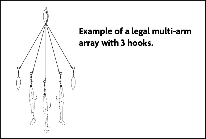 Diagram of a legal multi-arm fishing rig with three hooks attached to separate lines extending from a central lure.