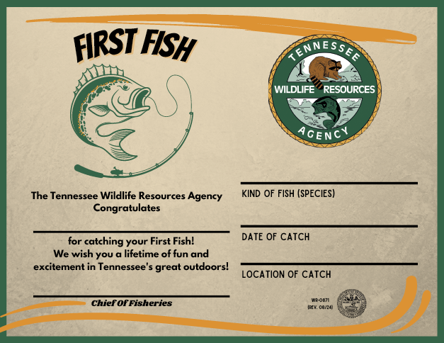TWRA First Fish certificate awarded to new anglers in Tennessee to celebrate their first catch and encourage lifelong fishing and outdoor recreation.
