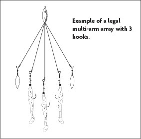 Example of a legal multi-arm array with 3 hooks