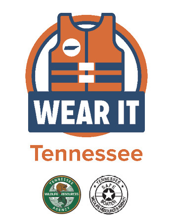 Wear It Tennessee Logo