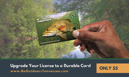Upgrade Your License to a Durable Card