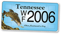 Example image of a TWRA specialty license plate.