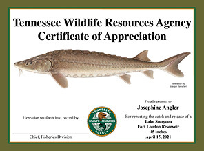 Tennessee Wildlife Resources Agency Certificate of Appreciation.