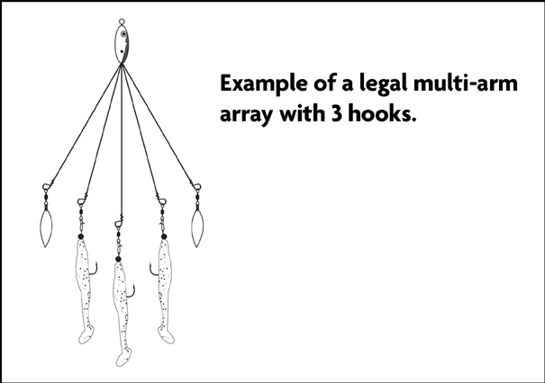 Example of a legal multi-arm array with 3 fishing hooks.