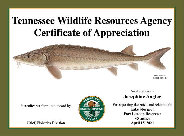 Tennessee Lake Sturgeon Certificate of Appreciation