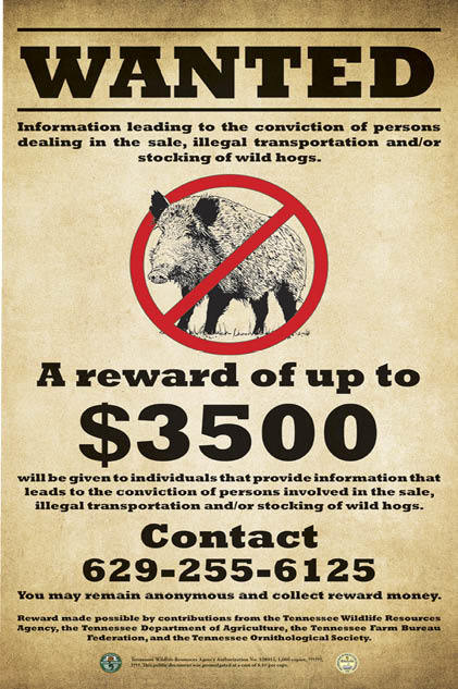 A reward of up to $3,500 to individuals that provide information that leads to the conviction of persons involved in the sale, illegal transportation and/or stocking of wild hogs.