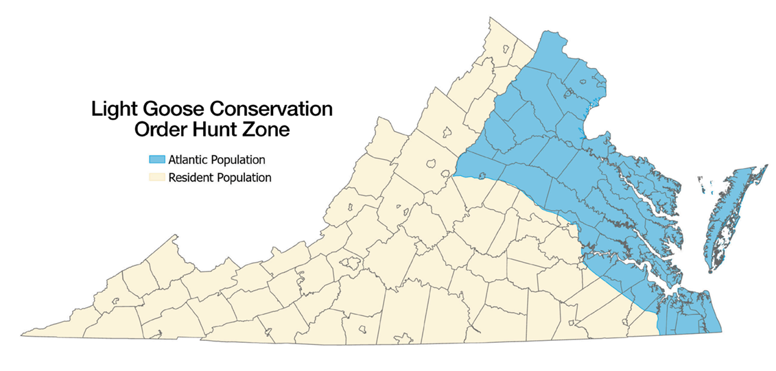 Map of Virginia showing Light Goose Conservation Order hunt zones, with Atlantic Population areas highlighted in blue and Resident Population areas in tan.