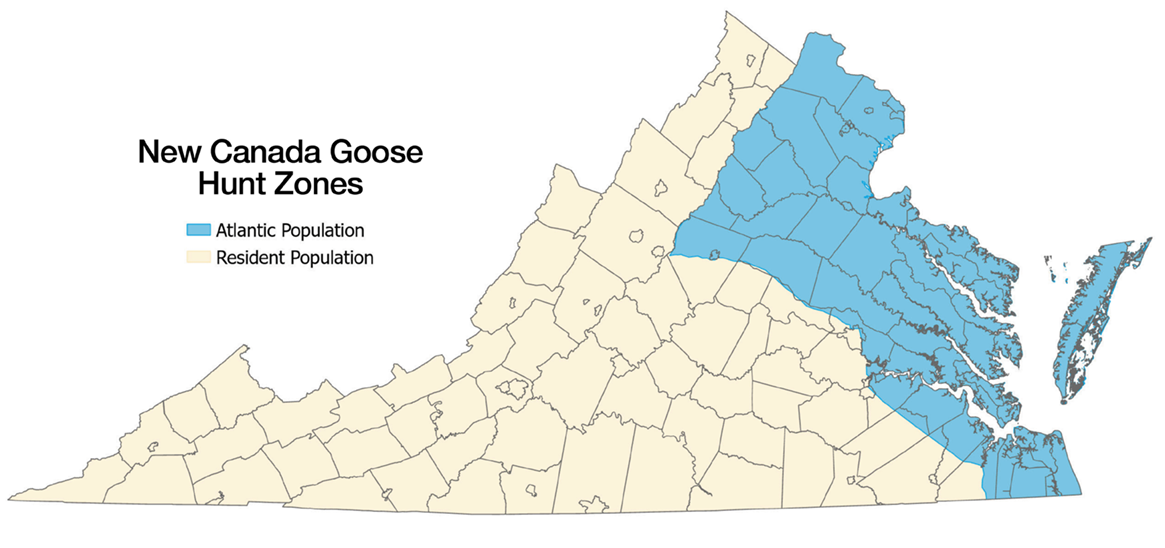 Map of Virginia showing new Canada goose hunting zones, with Atlantic Population areas highlighted in blue and Resident Population areas in tan.