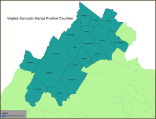 Virginia Sarcoptic Mange Positive Counties Map