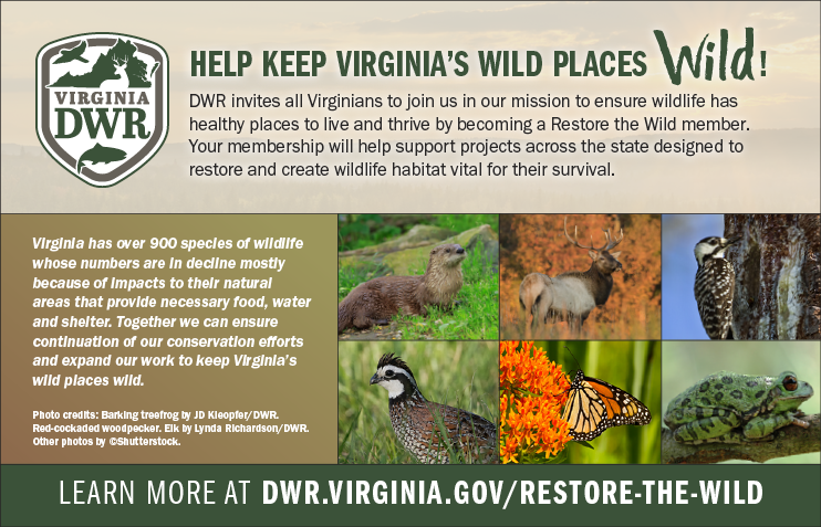 Help Keep Virginia's wild places wild!
