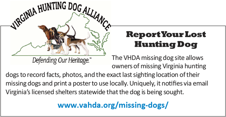 Report Your Lost Hunting Dog to the Virginia Hunting Dog Alliance