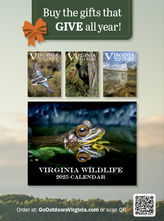 Virginia Wildlife Magazine