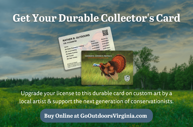 Virginia durable hunting license collector's card features art by a local artist and supports the next generation of conservationists.