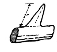 Illustration showing the minimum height of an antler point.