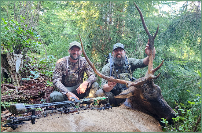 Two hunters in camouflage pose with a harvested bull elk and a crossbow in a forested area.