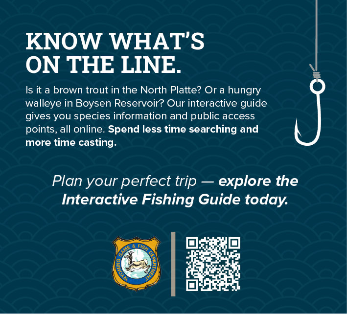 Graphic promoting the Wyoming Interactive Fishing Guide, featuring a fishing hook icon, QR code, and text encouraging anglers to explore species information and public access points online.