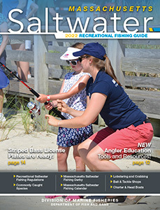 Massachusetts Saltwater Fishing Regulations Cover