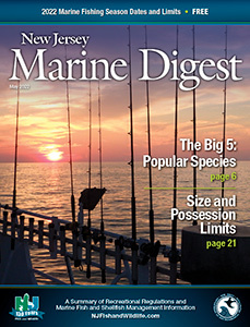 2022 New Jersey Marine Digest Cover