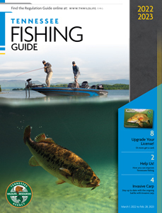 2022-2023 Tennessee Fishing Guide