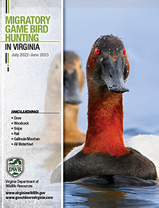 Virginia Game Bird Hunting Regulations Cover