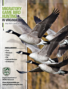2023 Virginia Game Bird Hunting Regulations
