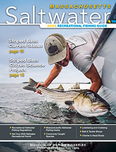2024 Massachusetts Saltwater Fishing Regulations Cover