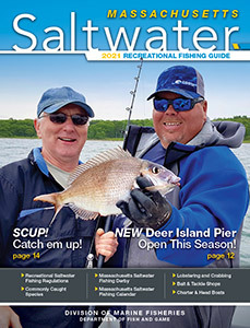 Massachusetts Saltwater Fishing Guide