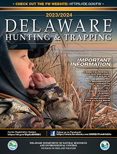 Delaware Hunting