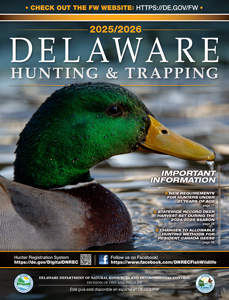 Delaware Hunting