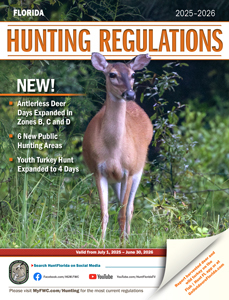 Florida Hunting