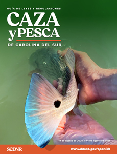 South Carolina Hunting - Spanish Translation