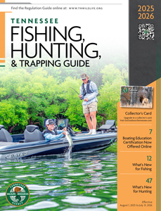 Tennessee Fishing