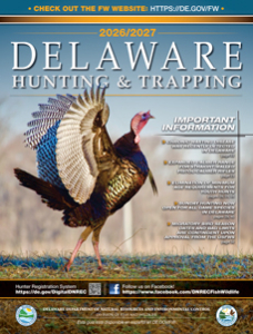 Delaware Hunting